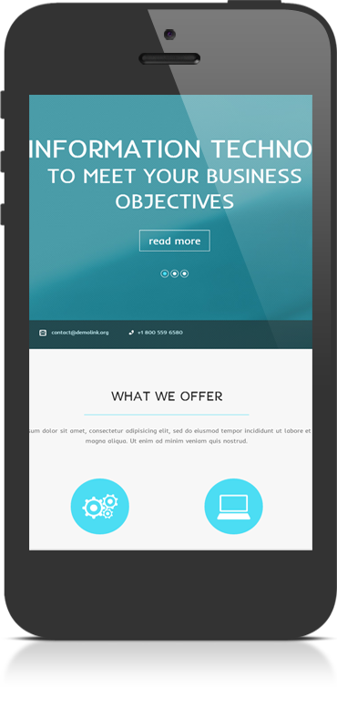 Punctipes Limited - WEB development and advertising